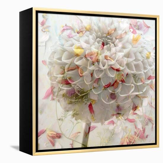 Floral Montage-Alaya Gadeh-Framed Premier Image Canvas