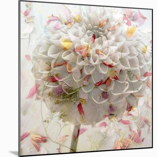 Floral Montage-Alaya Gadeh-Mounted Photographic Print