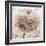 Floral Montage-Alaya Gadeh-Framed Photographic Print