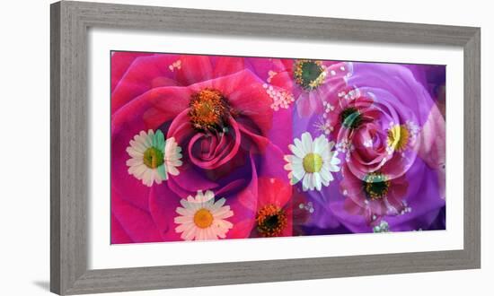 Floral Montages of Rose Blossoms-Alaya Gadeh-Framed Photographic Print