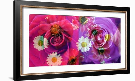 Floral Montages of Rose Blossoms-Alaya Gadeh-Framed Photographic Print