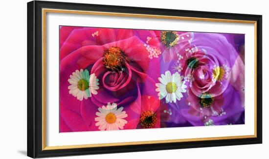 Floral Montages of Rose Blossoms-Alaya Gadeh-Framed Photographic Print