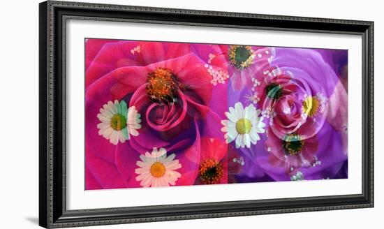 Floral Montages of Rose Blossoms-Alaya Gadeh-Framed Premium Photographic Print