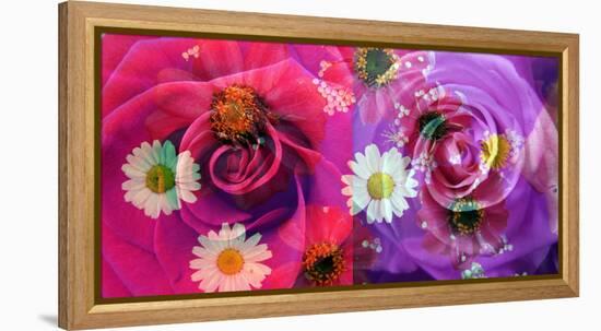 Floral Montages of Rose Blossoms-Alaya Gadeh-Framed Premier Image Canvas