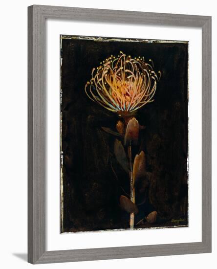 Floral Negative I-Douglas-Framed Giclee Print