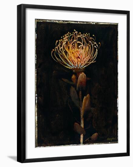 Floral Negative I-Douglas-Framed Giclee Print