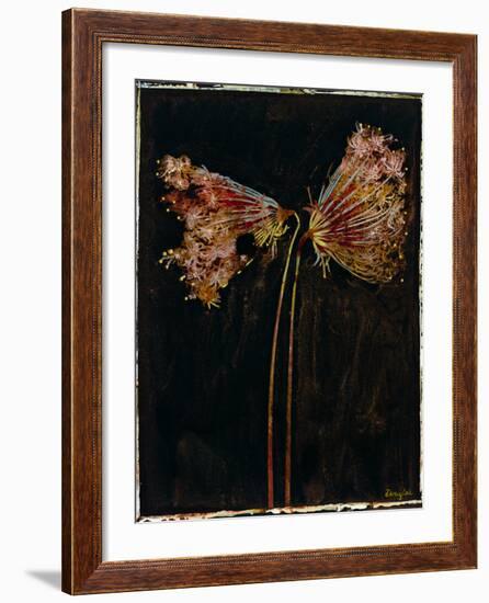 Floral Negative II-Douglas-Framed Giclee Print