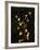 Floral Negative III-Douglas-Framed Giclee Print