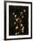 Floral Negative III-Douglas-Framed Giclee Print