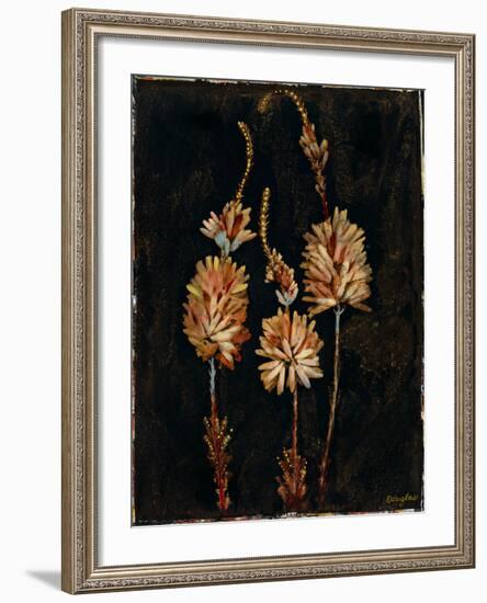 Floral Negative IV-Douglas-Framed Giclee Print