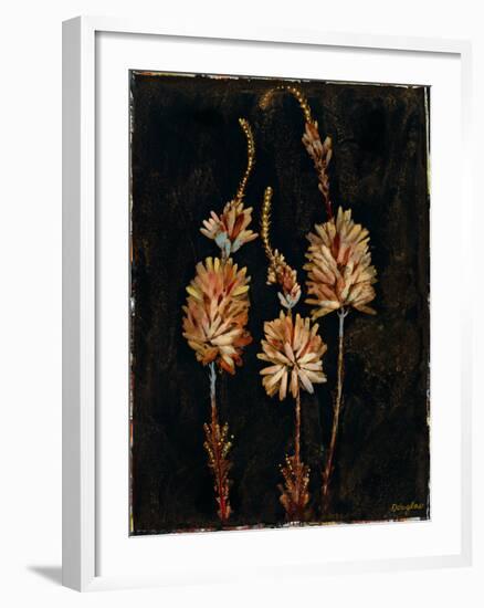 Floral Negative IV-Douglas-Framed Giclee Print