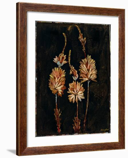 Floral Negative IV-Douglas-Framed Giclee Print