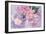 Floral Occasion II-Samuel Dixon-Framed Art Print