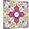 Floral Ornament-Alaya Gadeh-Mounted Photographic Print