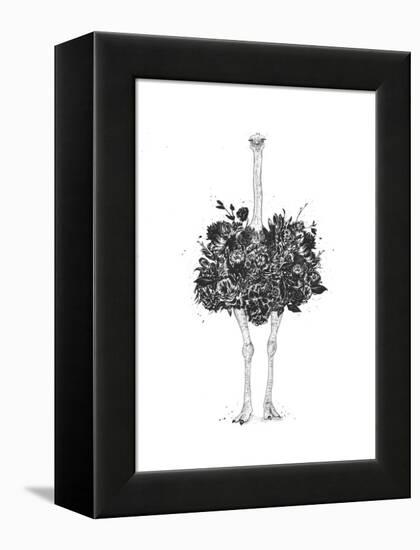 Floral Ostrich-Balazs Solti-Framed Stretched Canvas