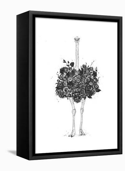 Floral Ostrich-Balazs Solti-Framed Stretched Canvas