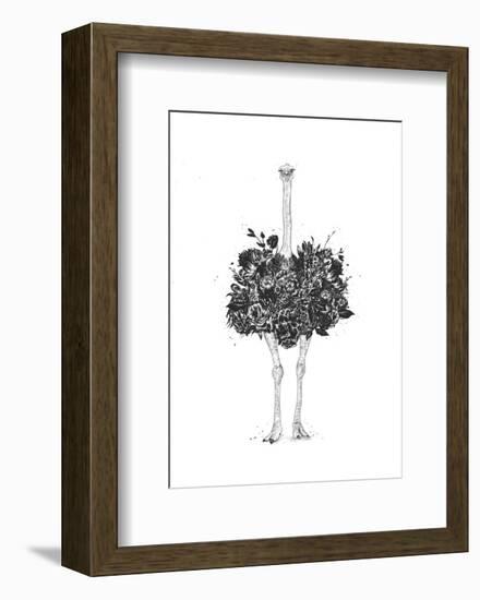 Floral Ostrich-Balazs Solti-Framed Art Print