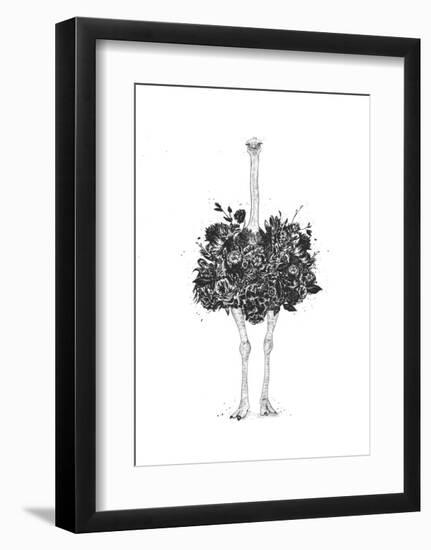 Floral Ostrich-Balazs Solti-Framed Art Print