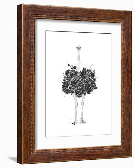 Floral Ostrich-Balazs Solti-Framed Art Print