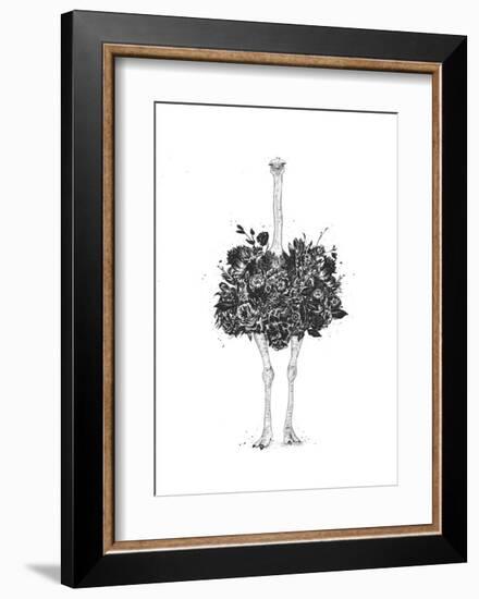 Floral Ostrich-Balazs Solti-Framed Art Print