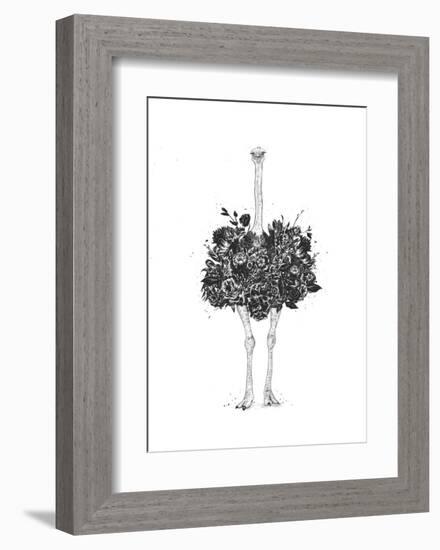 Floral Ostrich-Balazs Solti-Framed Art Print