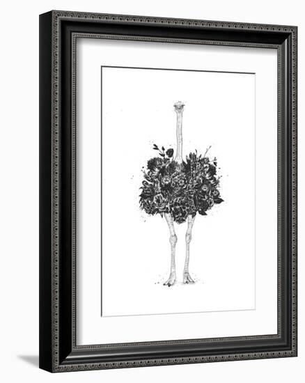 Floral Ostrich-Balazs Solti-Framed Art Print