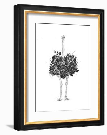 Floral Ostrich-Balazs Solti-Framed Art Print