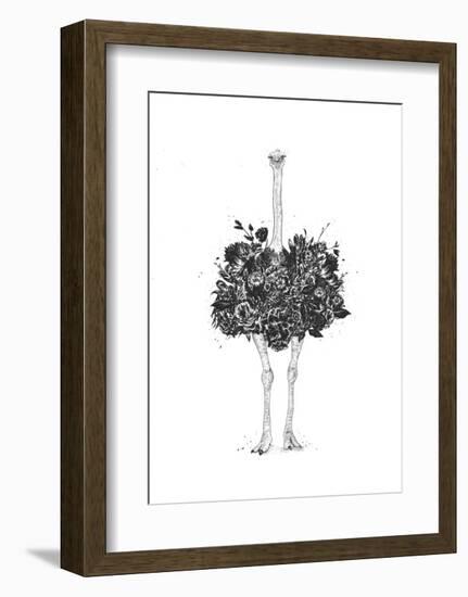 Floral Ostrich-Balazs Solti-Framed Art Print