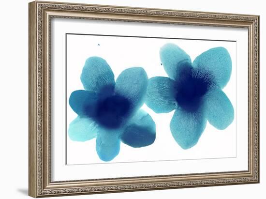 Floral Pair-Hannah Carlson-Framed Art Print