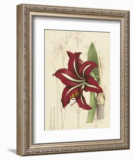 Floral Pairings I-Vision Studio-Framed Art Print