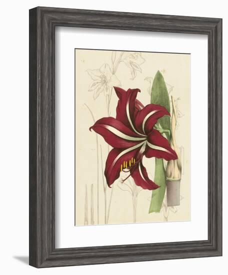 Floral Pairings I-Vision Studio-Framed Art Print