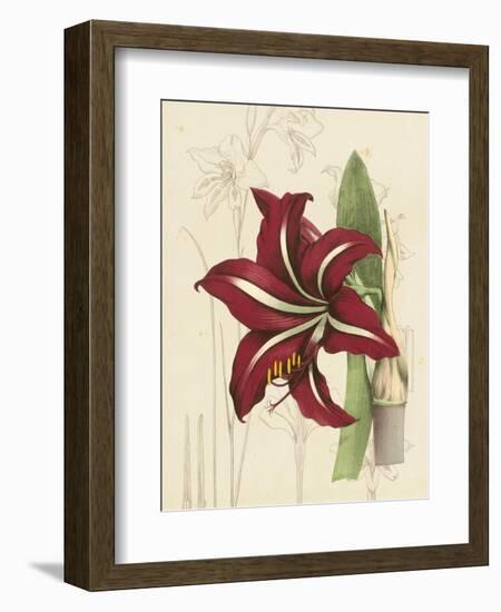 Floral Pairings I-Vision Studio-Framed Art Print