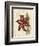 Floral Pairings I-Vision Studio-Framed Art Print