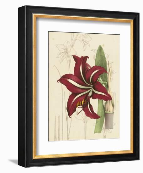 Floral Pairings I-Vision Studio-Framed Art Print