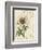 Floral Pairings II-Vision Studio-Framed Art Print