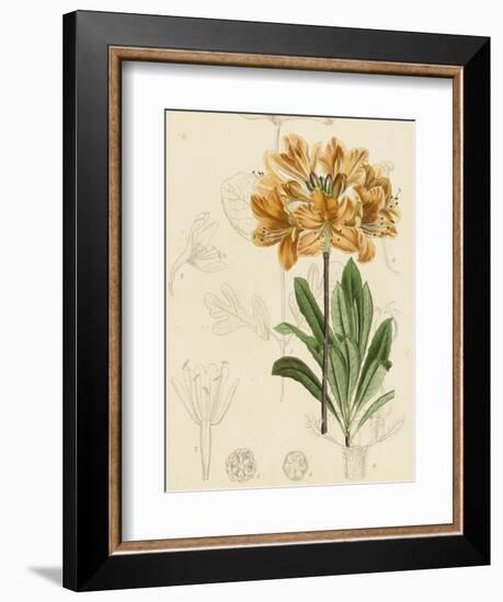 Floral Pairings III-Vision Studio-Framed Art Print