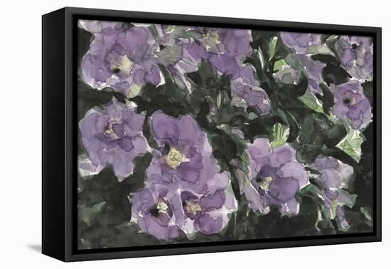 Floral Palette  I-Samuel Dixon-Framed Stretched Canvas