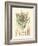 Floral Passion IV-Samuel Curtis-Framed Art Print