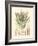 Floral Passion IV-Samuel Curtis-Framed Art Print