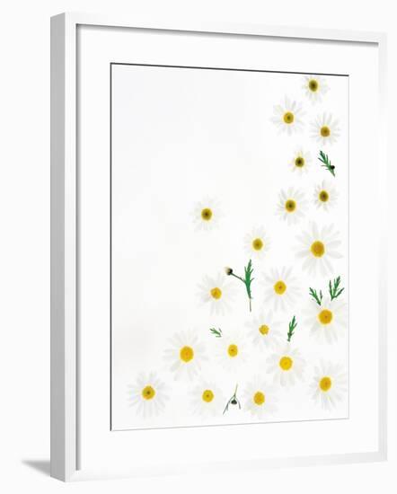 Floral Pattern on White Surface-null-Framed Photographic Print