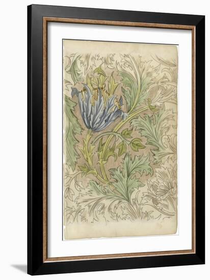 Floral Pattern Study III-Ethan Harper-Framed Art Print