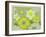 Floral Pattern-Whoartnow-Framed Giclee Print