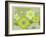 Floral Pattern-Whoartnow-Framed Giclee Print