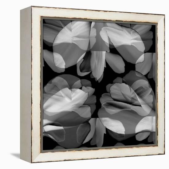 Floral Petals Upon Petals-Winfred Evers-Framed Premier Image Canvas
