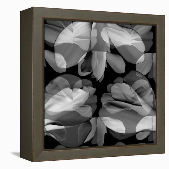 Floral Petals Upon Petals-Winfred Evers-Framed Premier Image Canvas