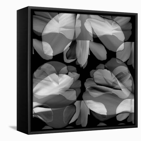 Floral Petals Upon Petals-Winfred Evers-Framed Premier Image Canvas