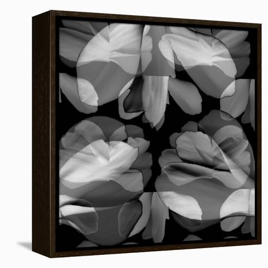 Floral Petals Upon Petals-Winfred Evers-Framed Premier Image Canvas