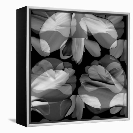 Floral Petals Upon Petals-Winfred Evers-Framed Premier Image Canvas