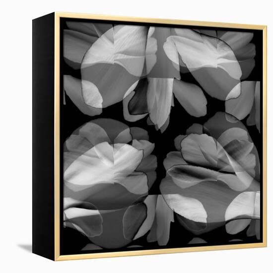 Floral Petals Upon Petals-Winfred Evers-Framed Premier Image Canvas