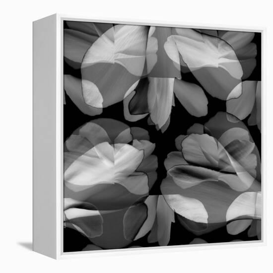 Floral Petals Upon Petals-Winfred Evers-Framed Premier Image Canvas